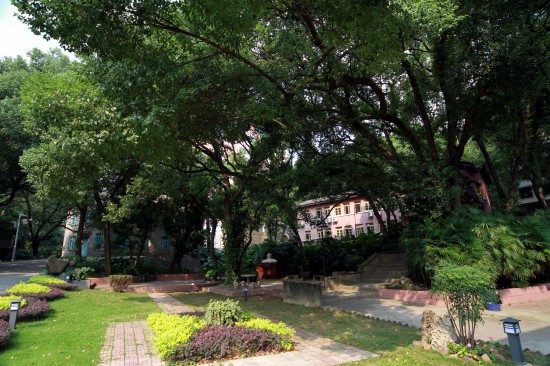 陶園